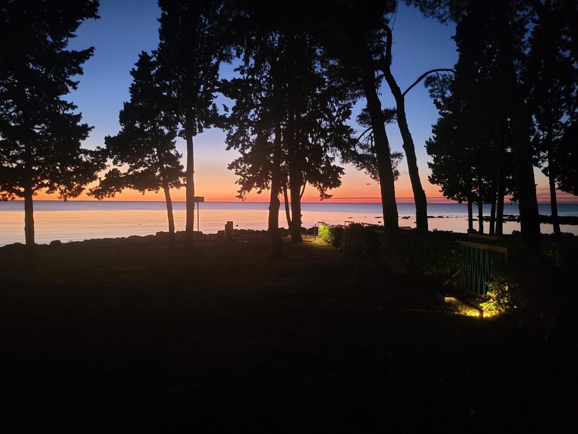 Villa Amore Radini Istrian Romantic Studio With Private Parking And Terrace Brtonigla Eksteriør billede